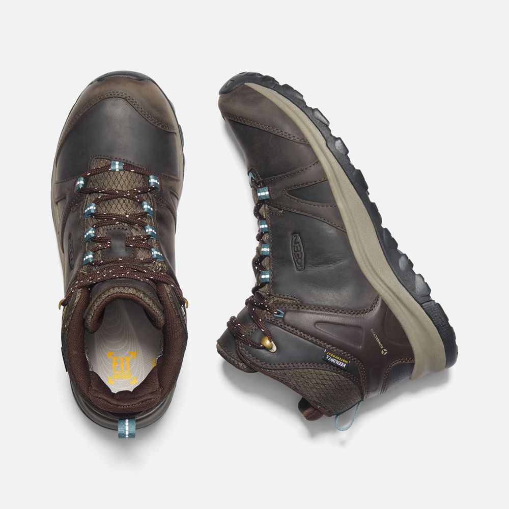 Bottes de Randonnée Keen Femme Marron | Terradora Ii Cuir Waterproof | MIQDG-8312